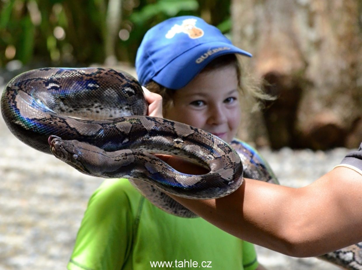 Lok Kawi Wildlife Park