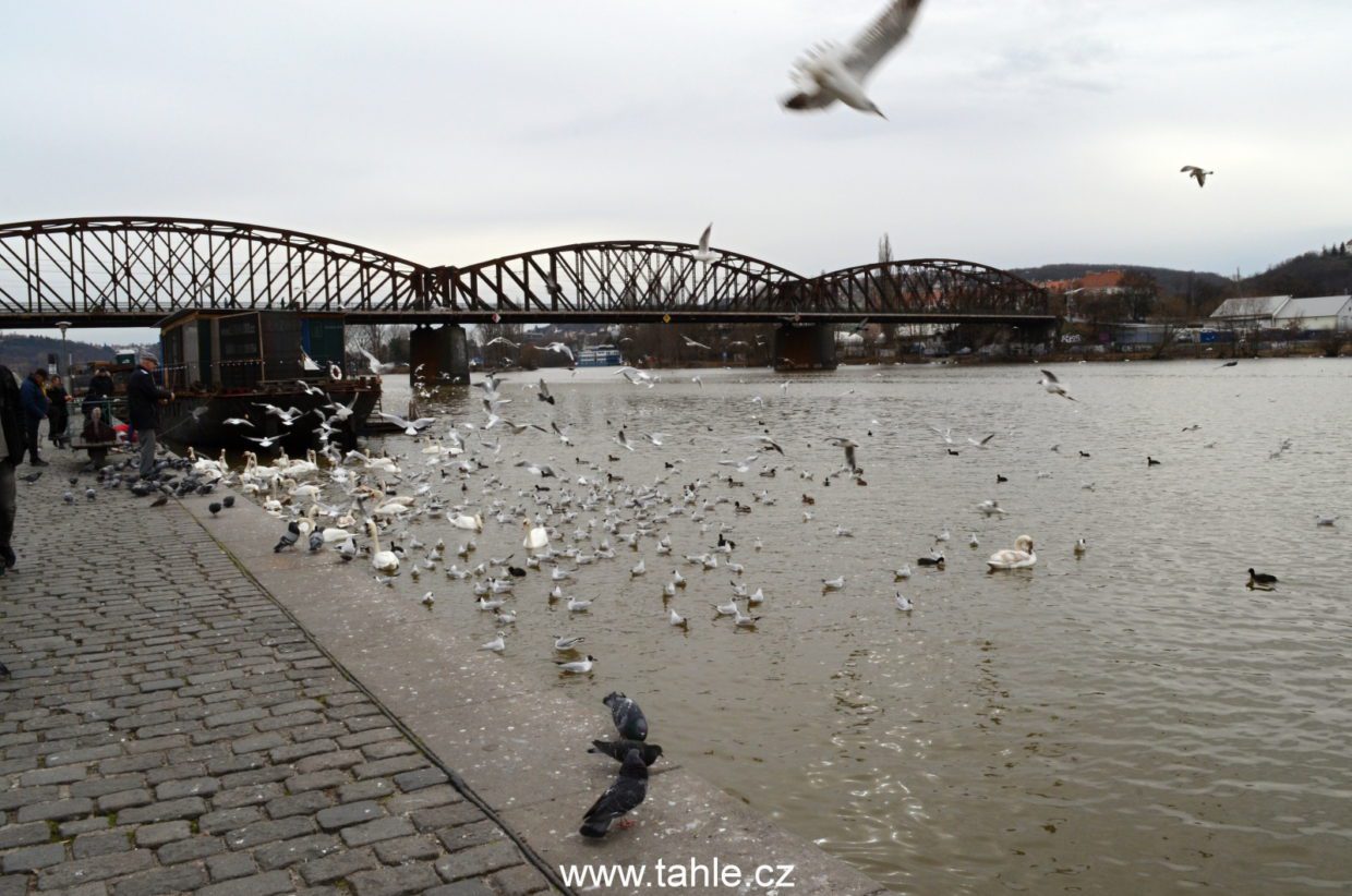 Vyšehrad