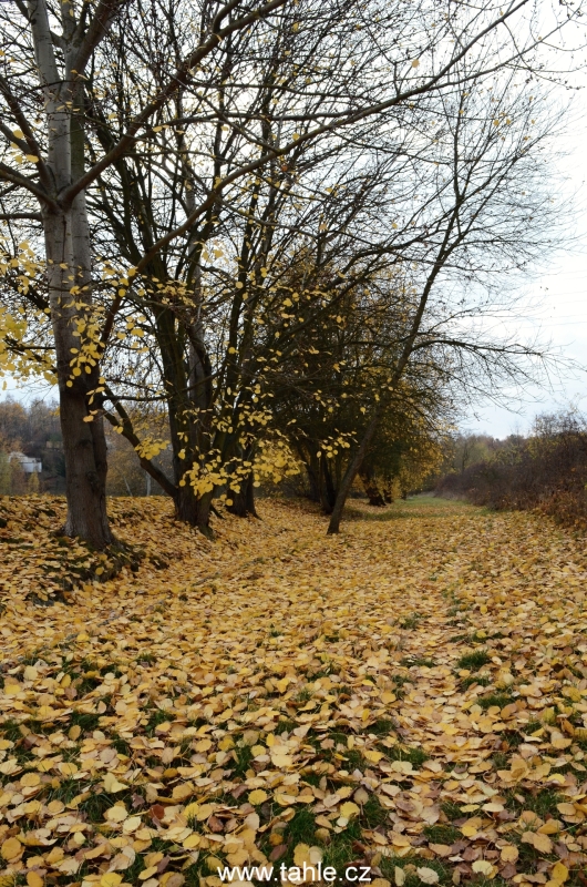 Řepy - Zličín