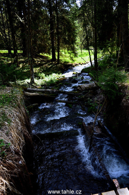 Schwarzenberský plavební kanál