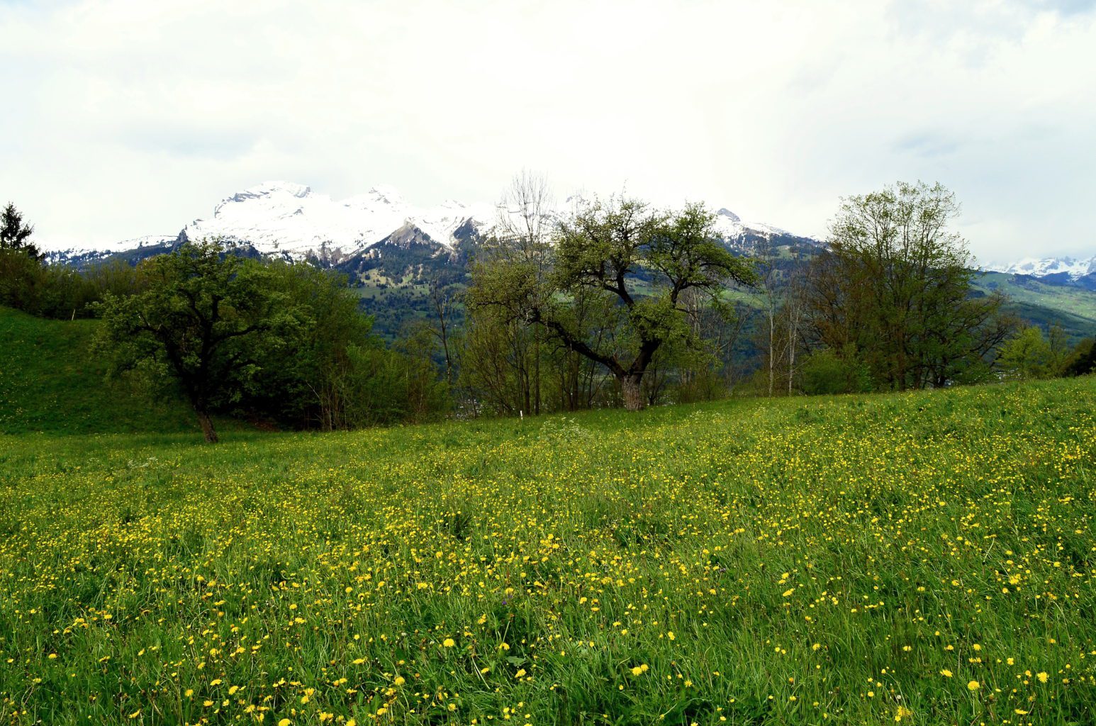 Vaduz