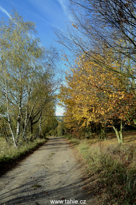 Petrovice u sedlčan