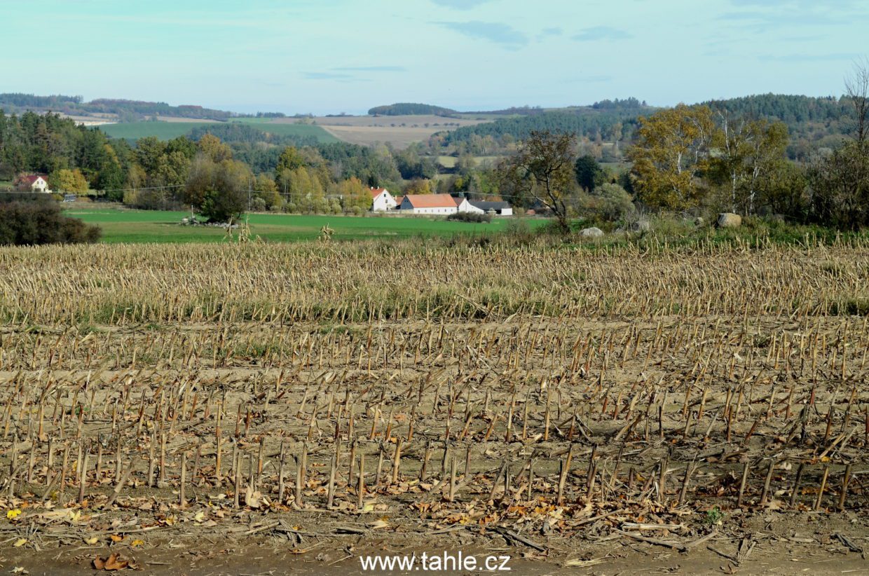 Petrovice u sedlčan