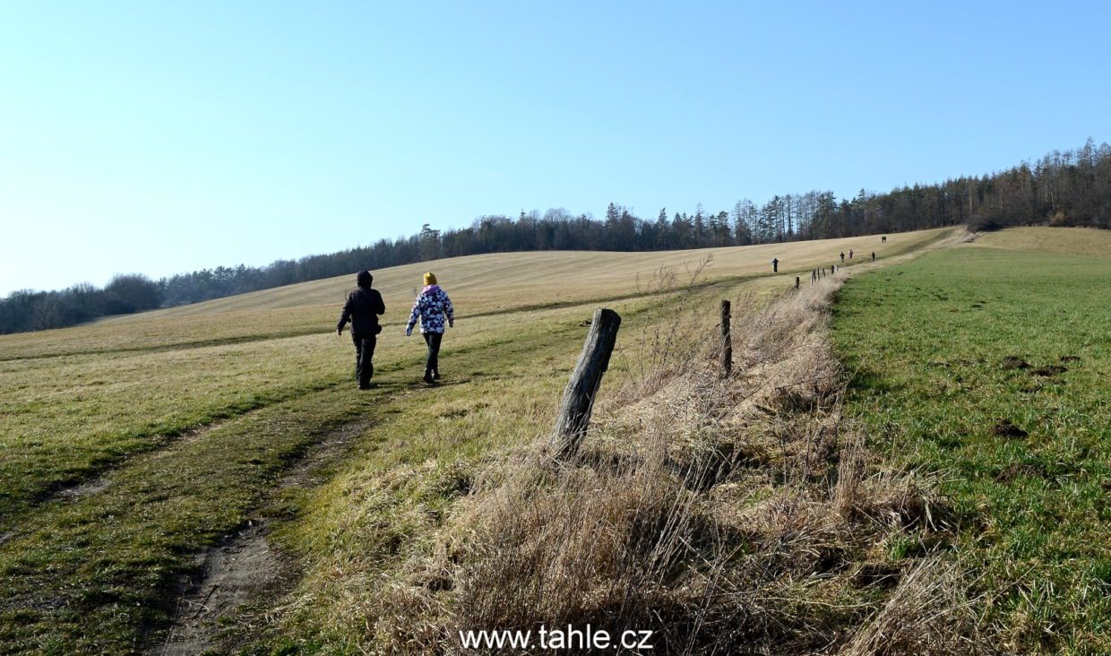 Třebsín