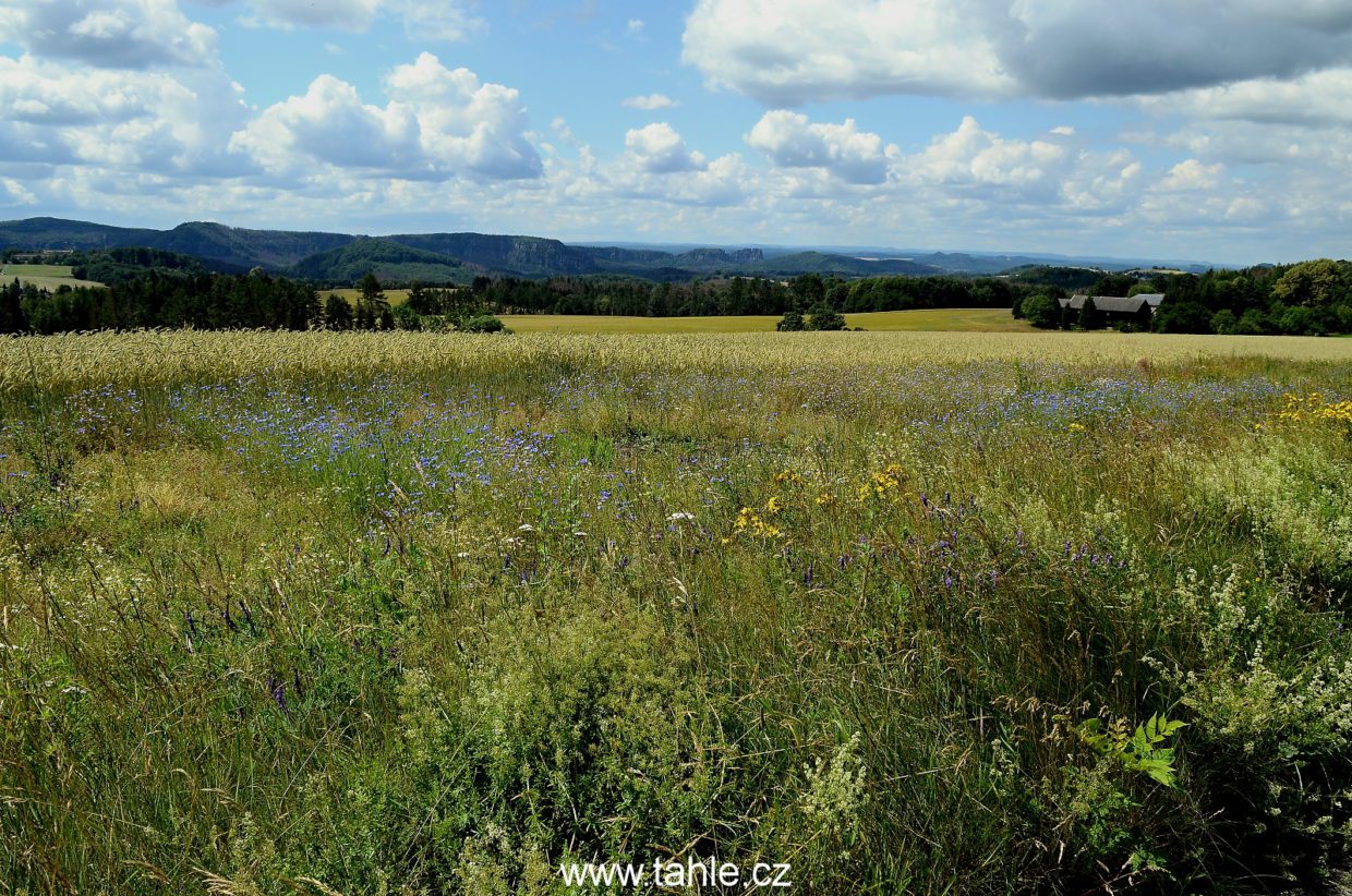 Mikulášovice