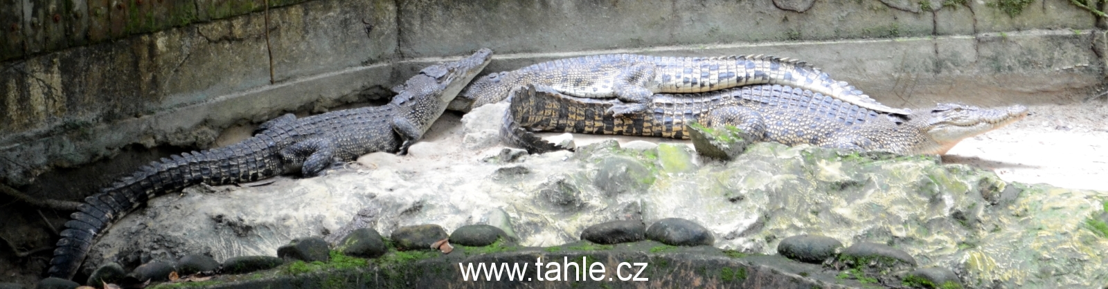 Matang Wildlife Centre