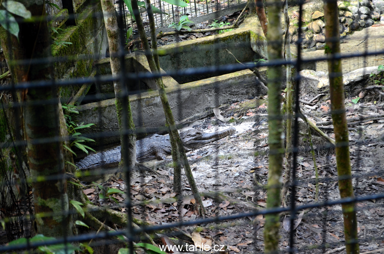 Matang Wildlife Centre