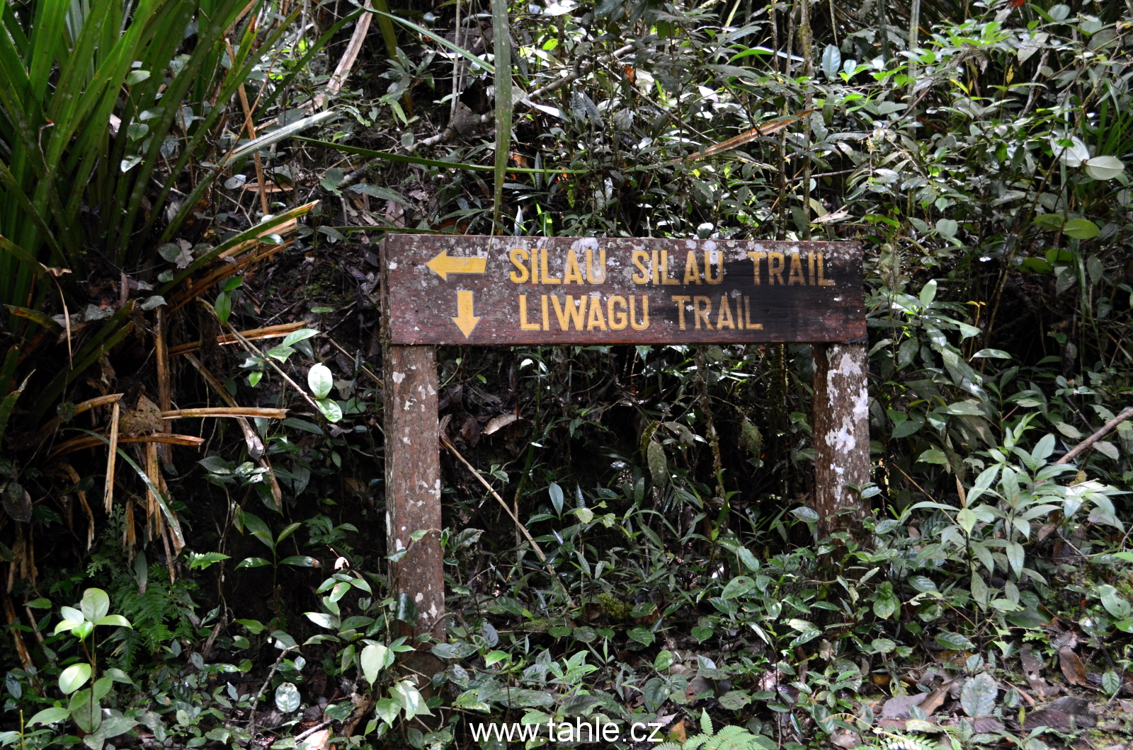 Národní park Kinabalu