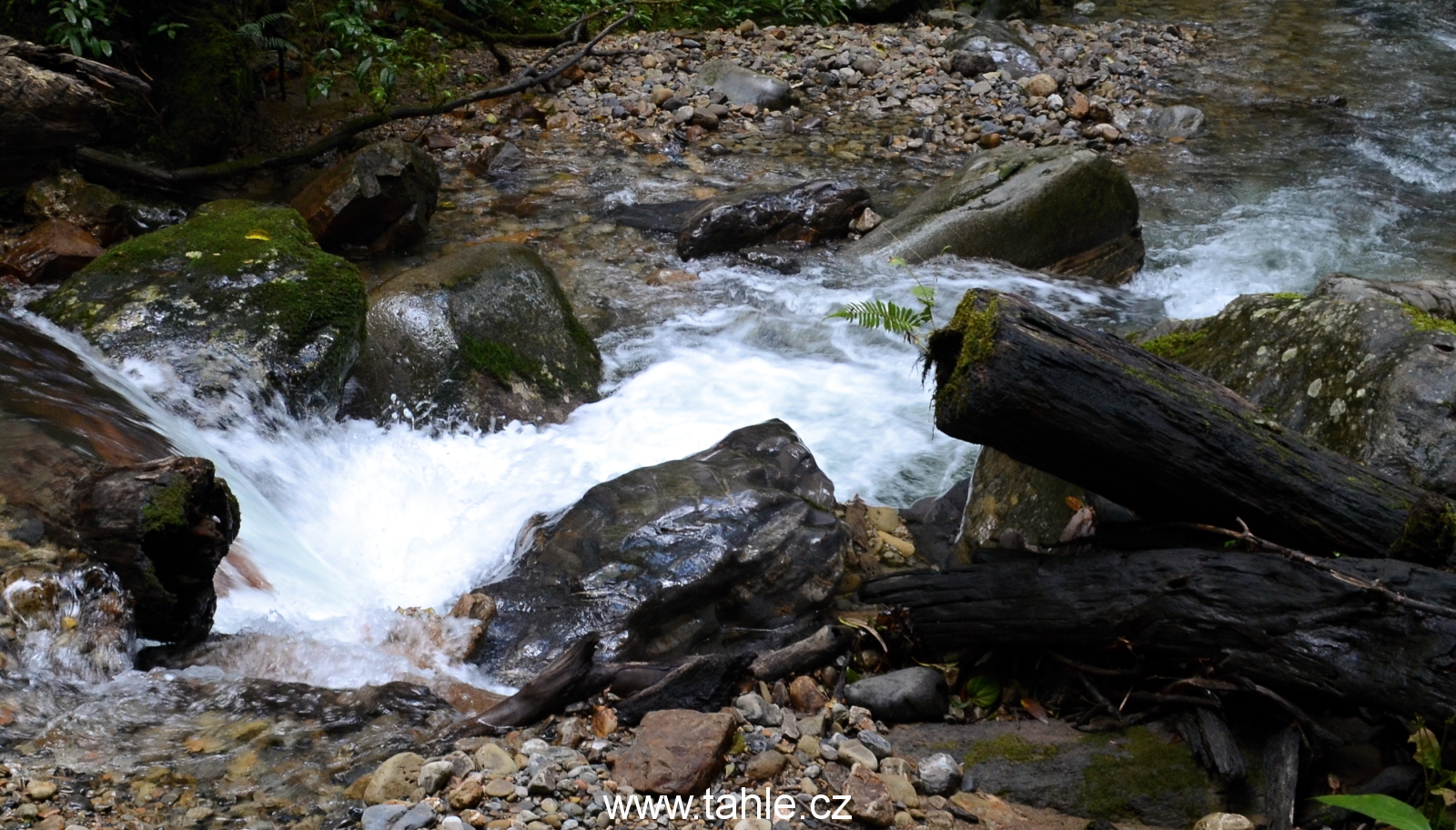 Národní park Kinabalu