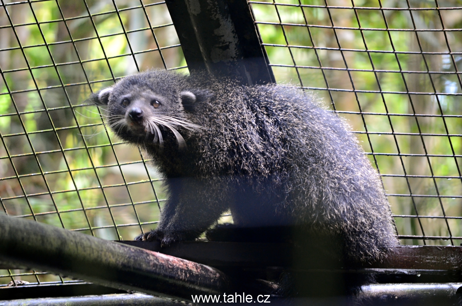 Matang Wildlife Centre