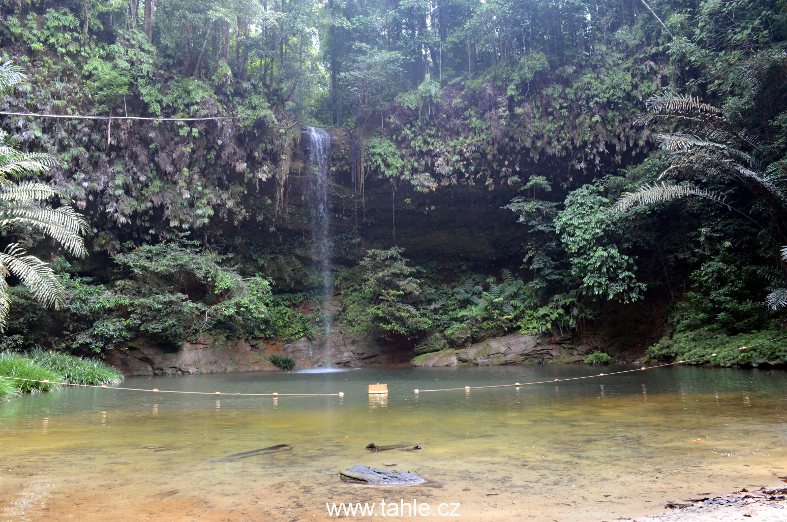 Lambir Hills National Park j