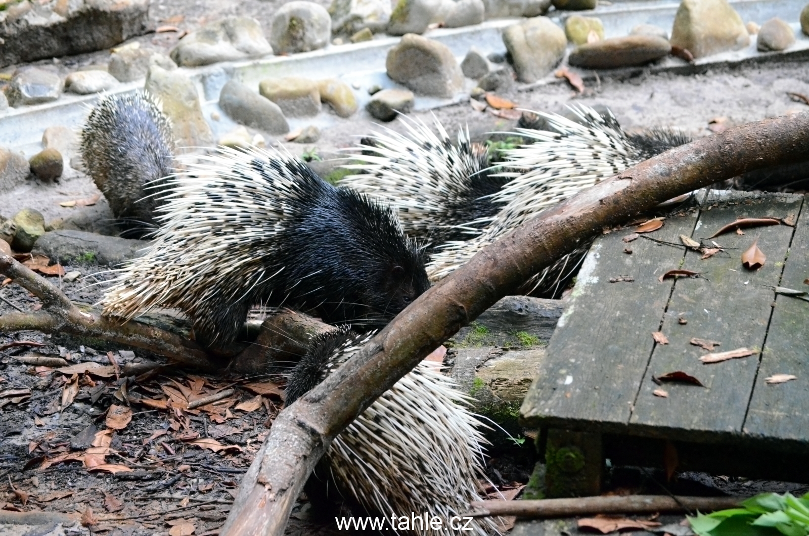 Matang Wildlife Centre