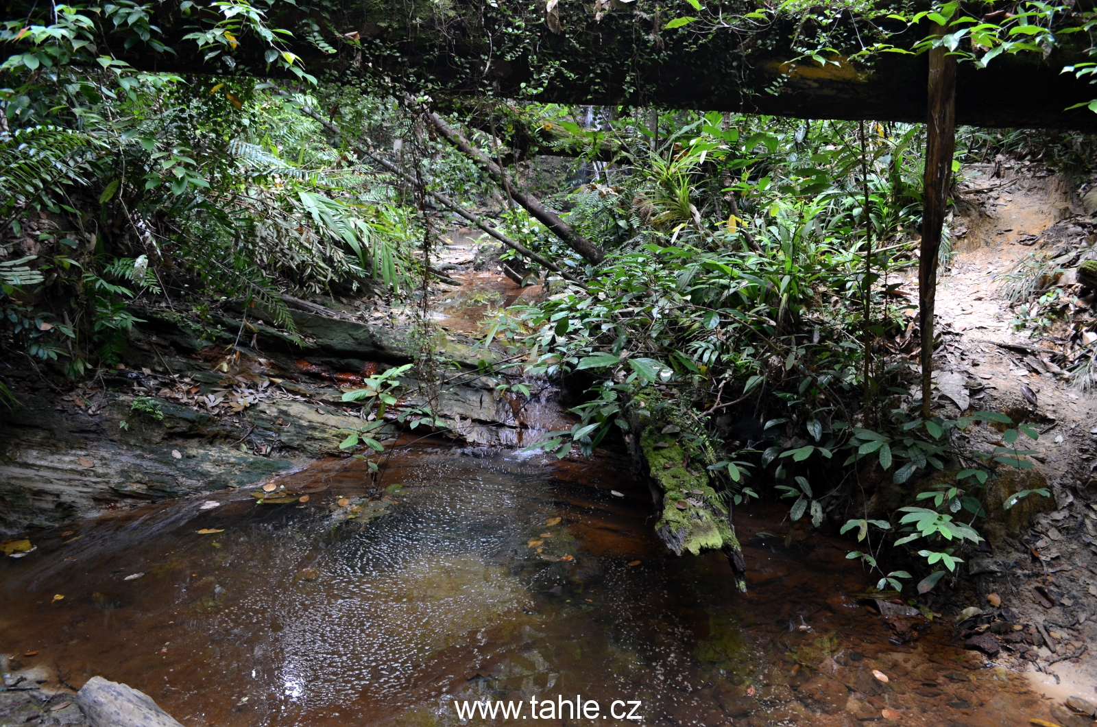 Lambir Hills National Park j