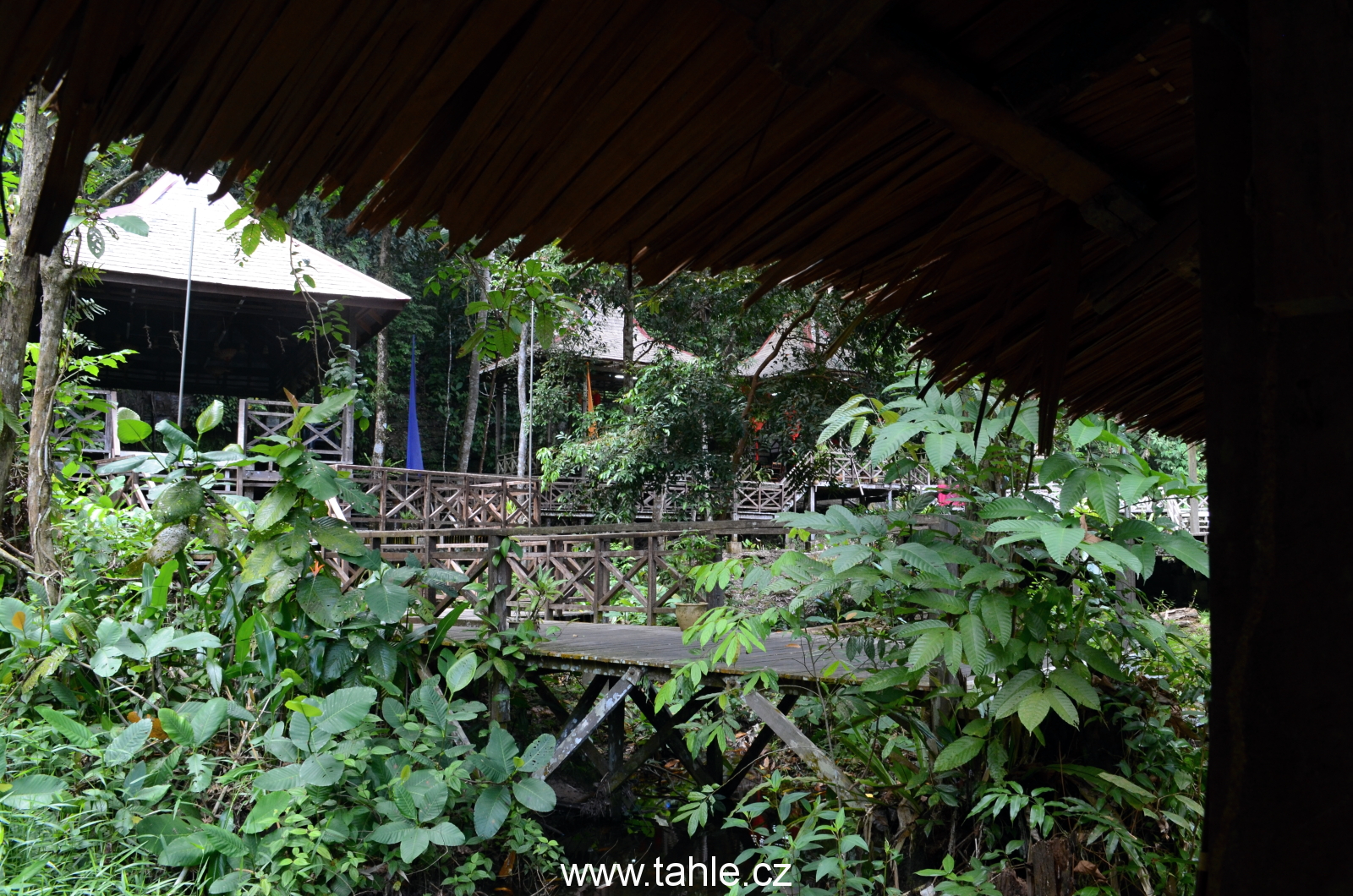 Sarawak Cultural Village