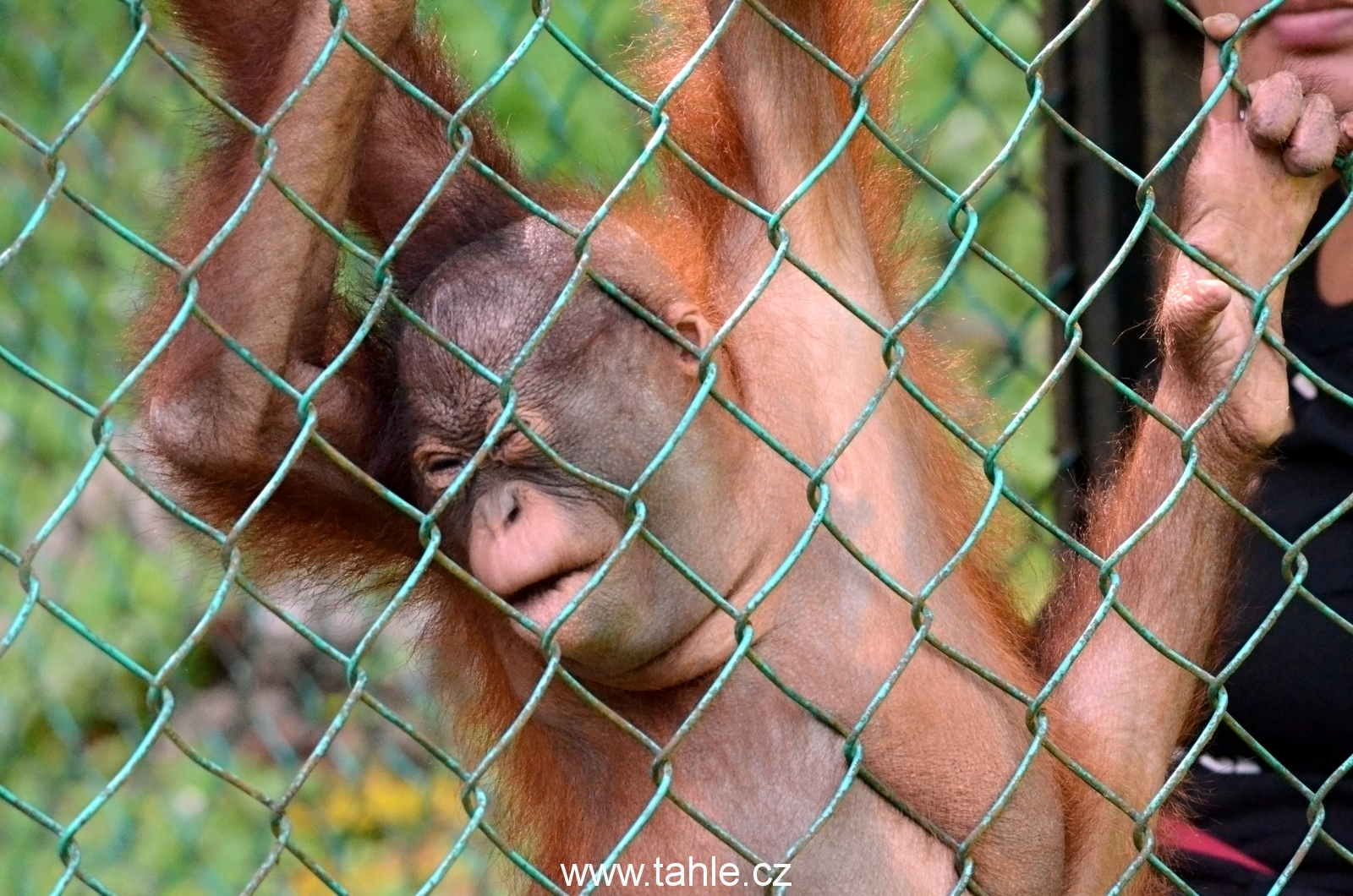 Matang Wildlife Centre