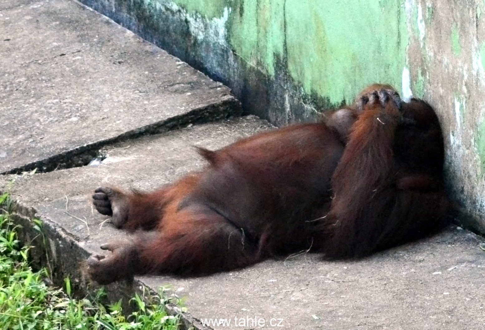 Matang Wildlife Centre