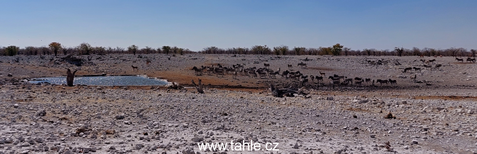 NP Etosha