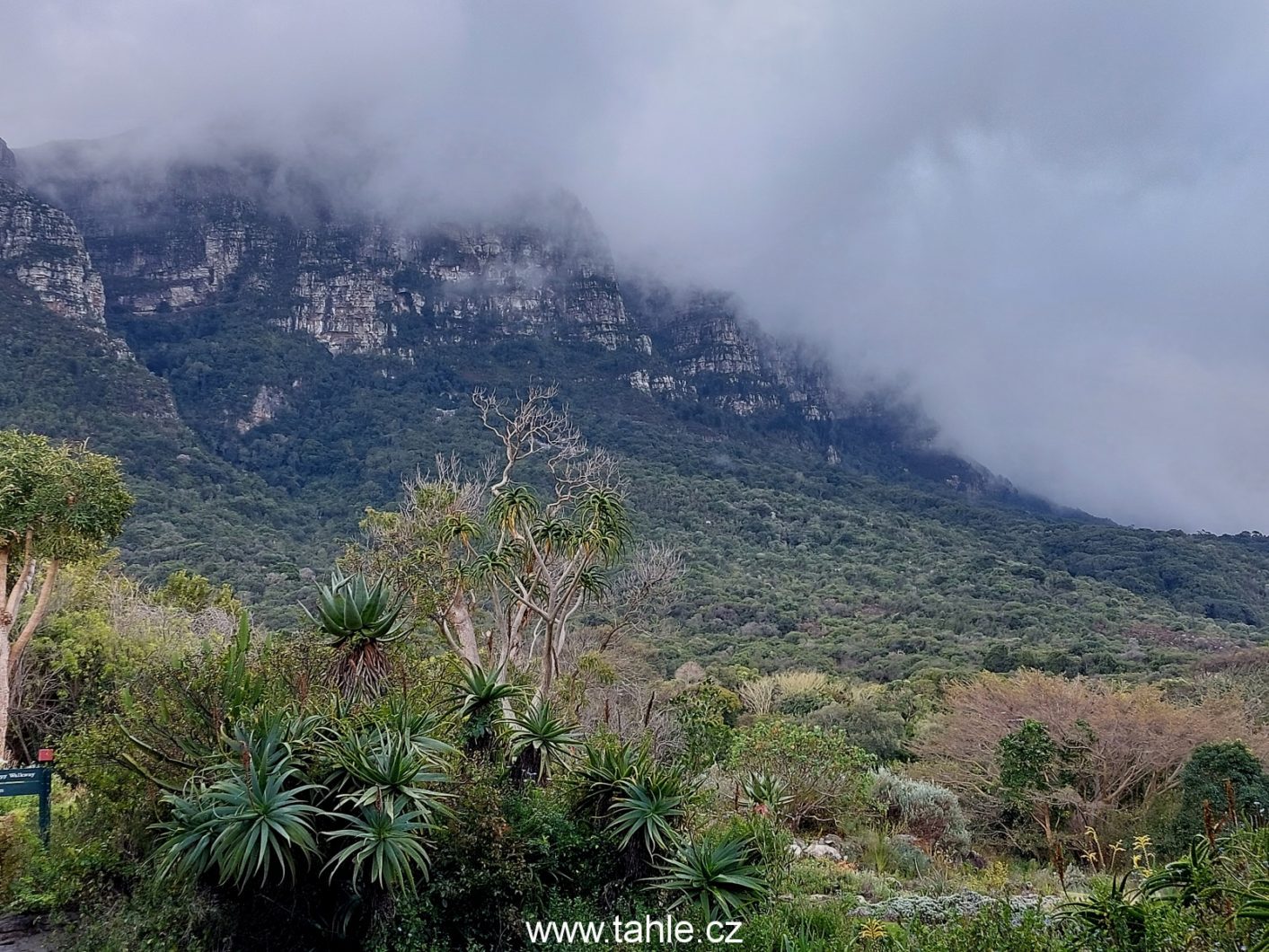 Hout Bay