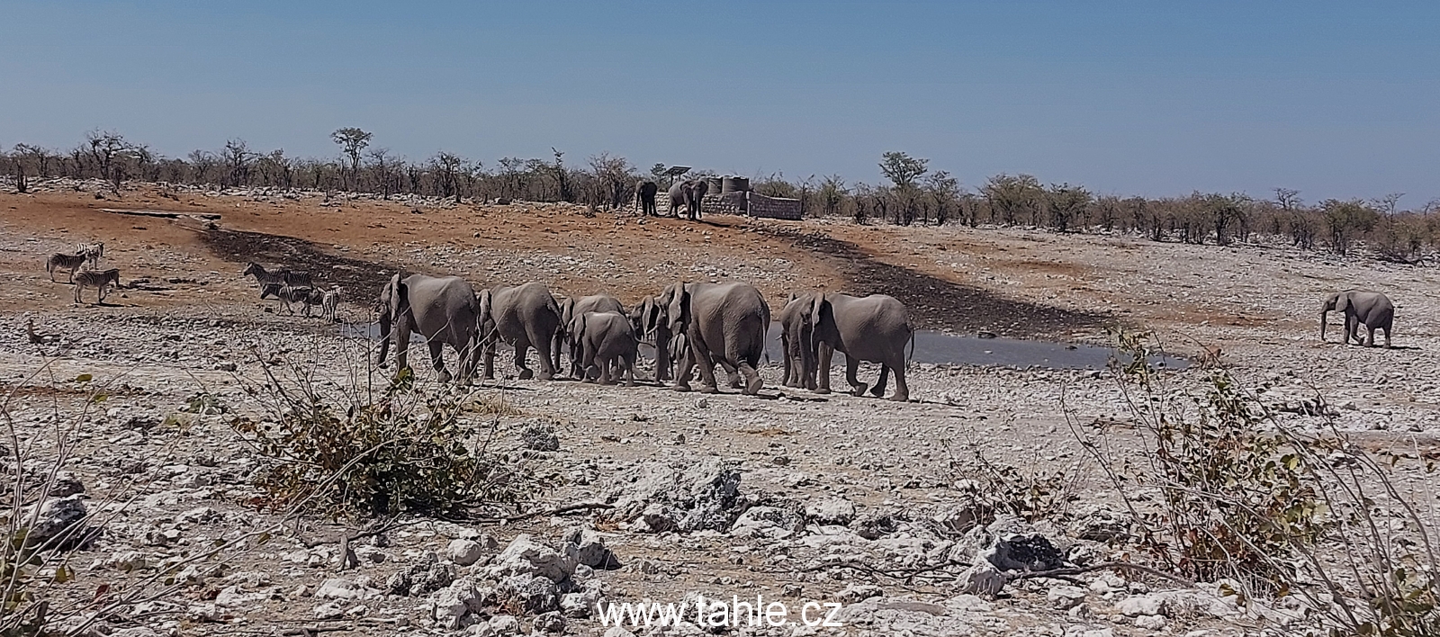 NP Etosha