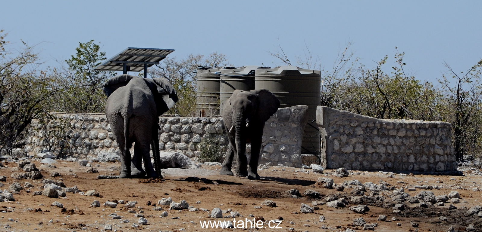 NP Etosha