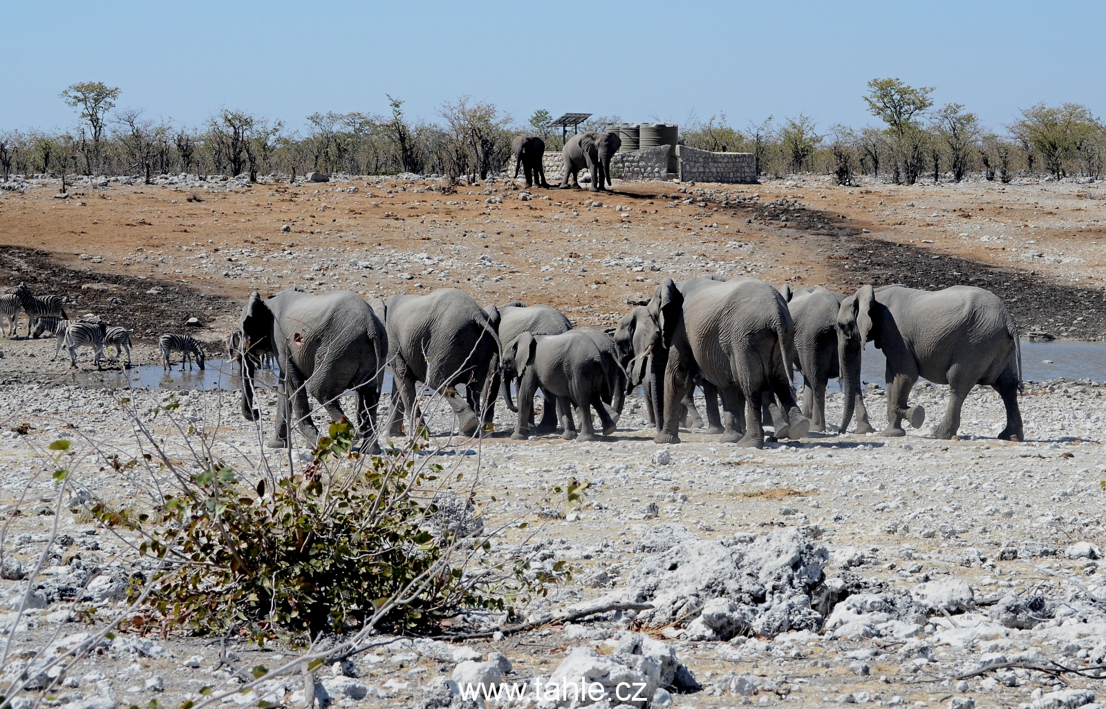 NP Etosha