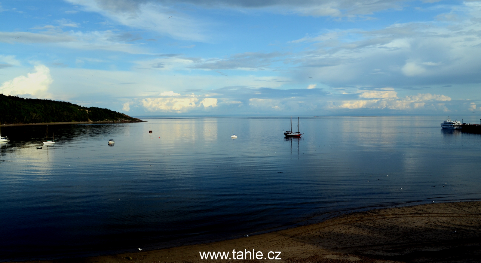 Tadoussac Whales