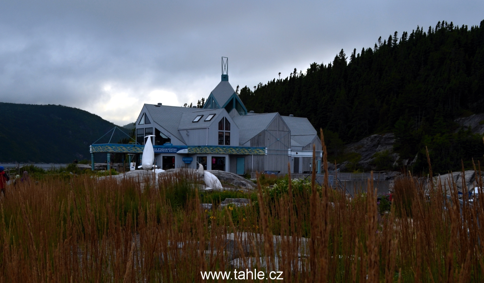 Tadoussac 