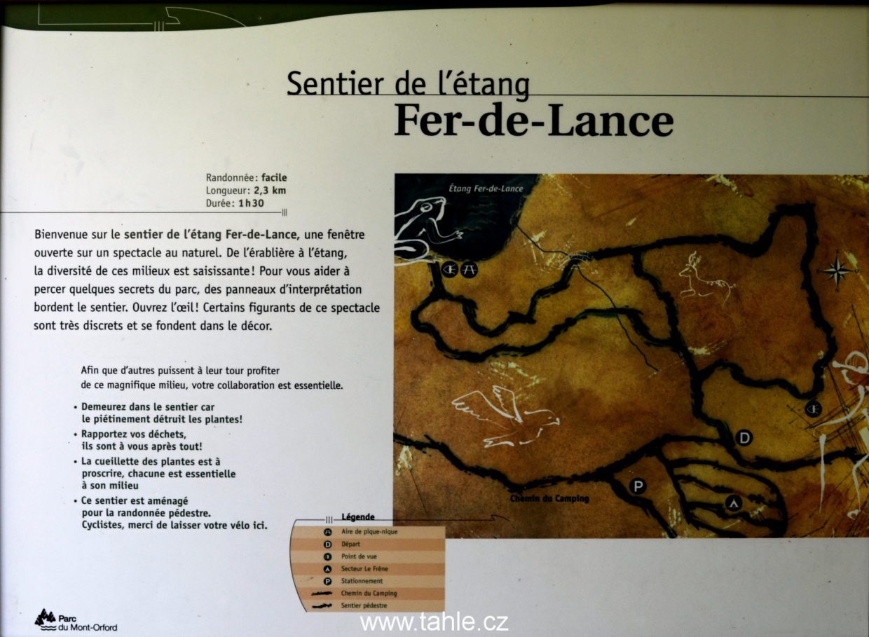 Fer-de-Lance