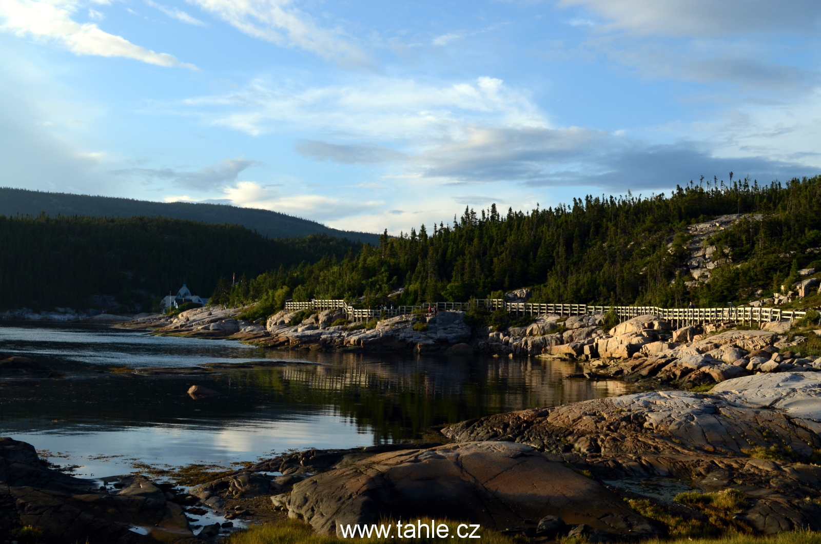 Tadoussac Whales