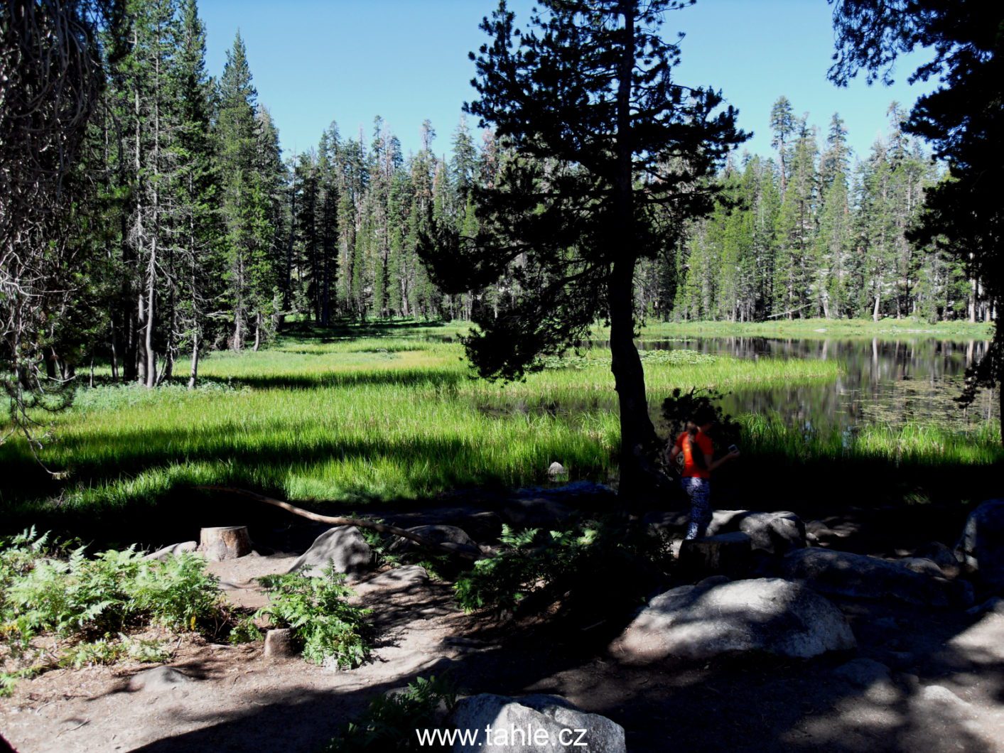 NP Yosemite - horské louky