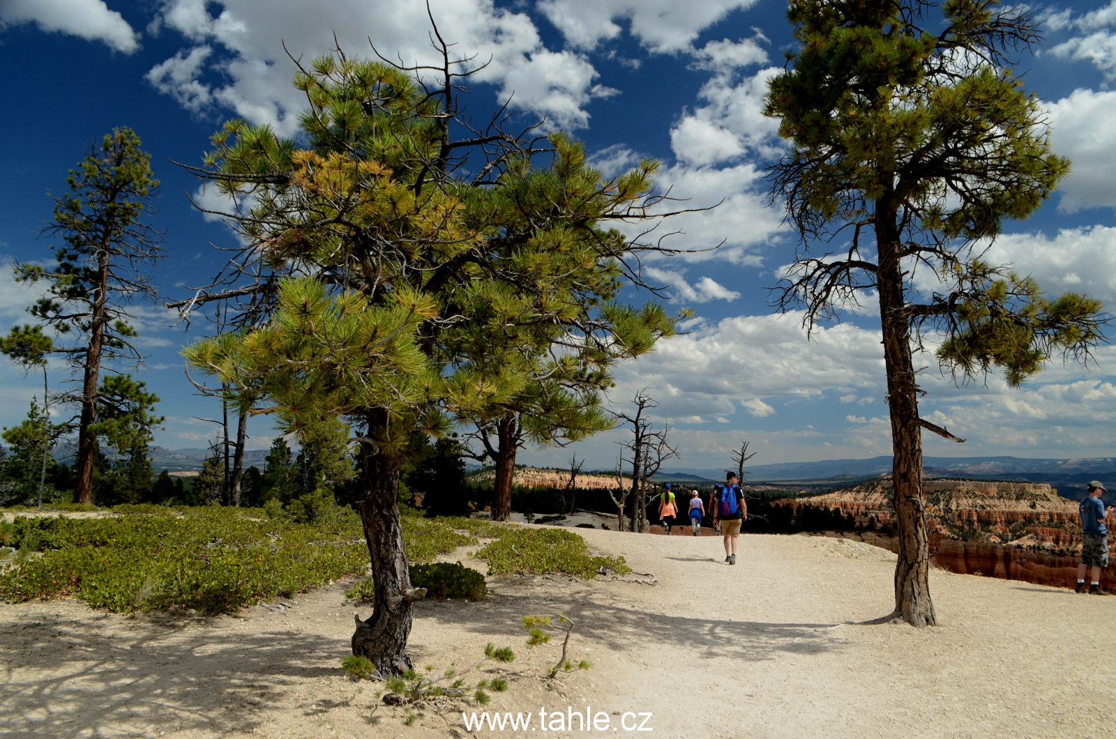 NP Bryce Canyon