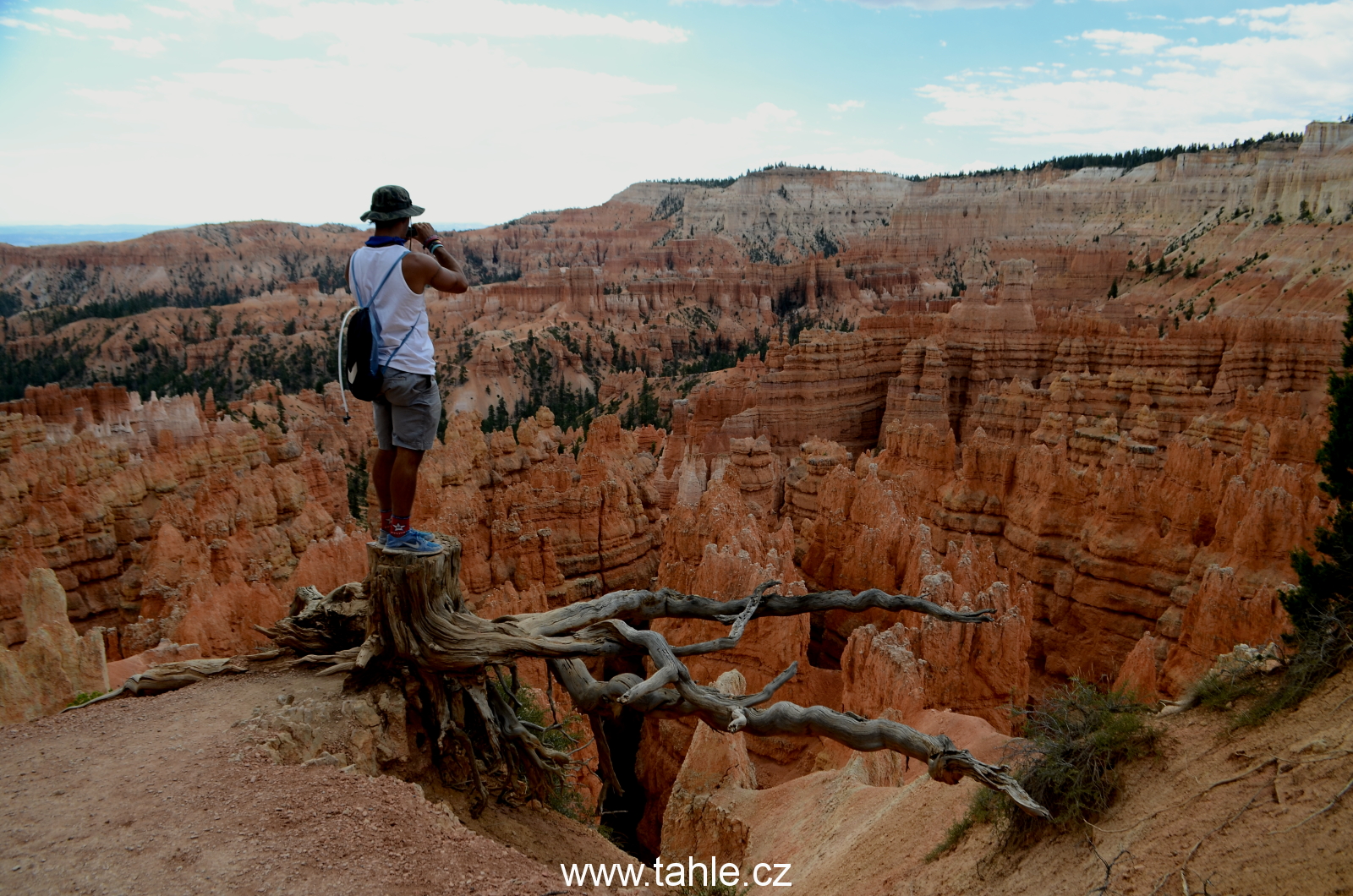 NP Bryce Canyon