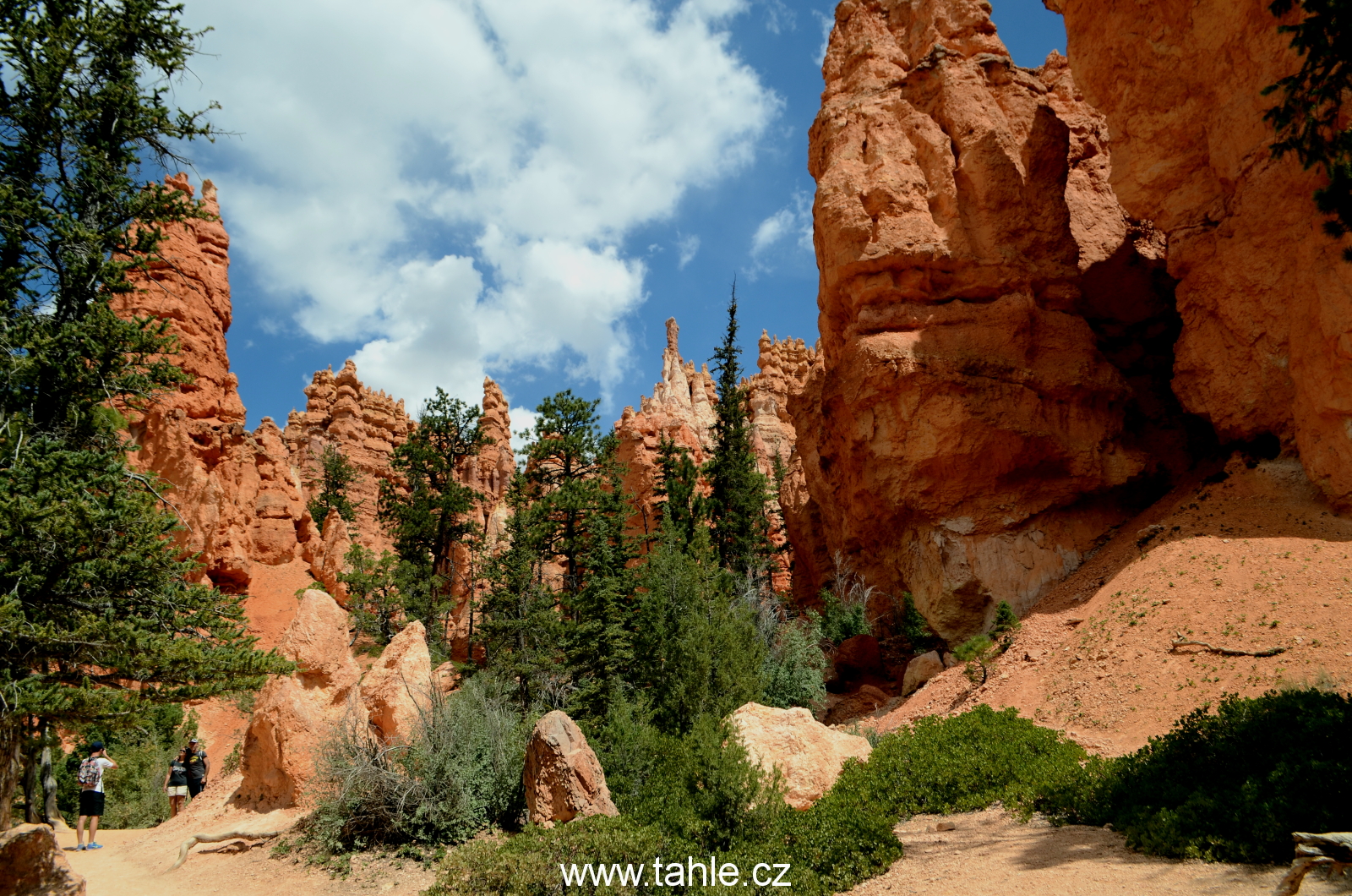 NP Bryce Canyon