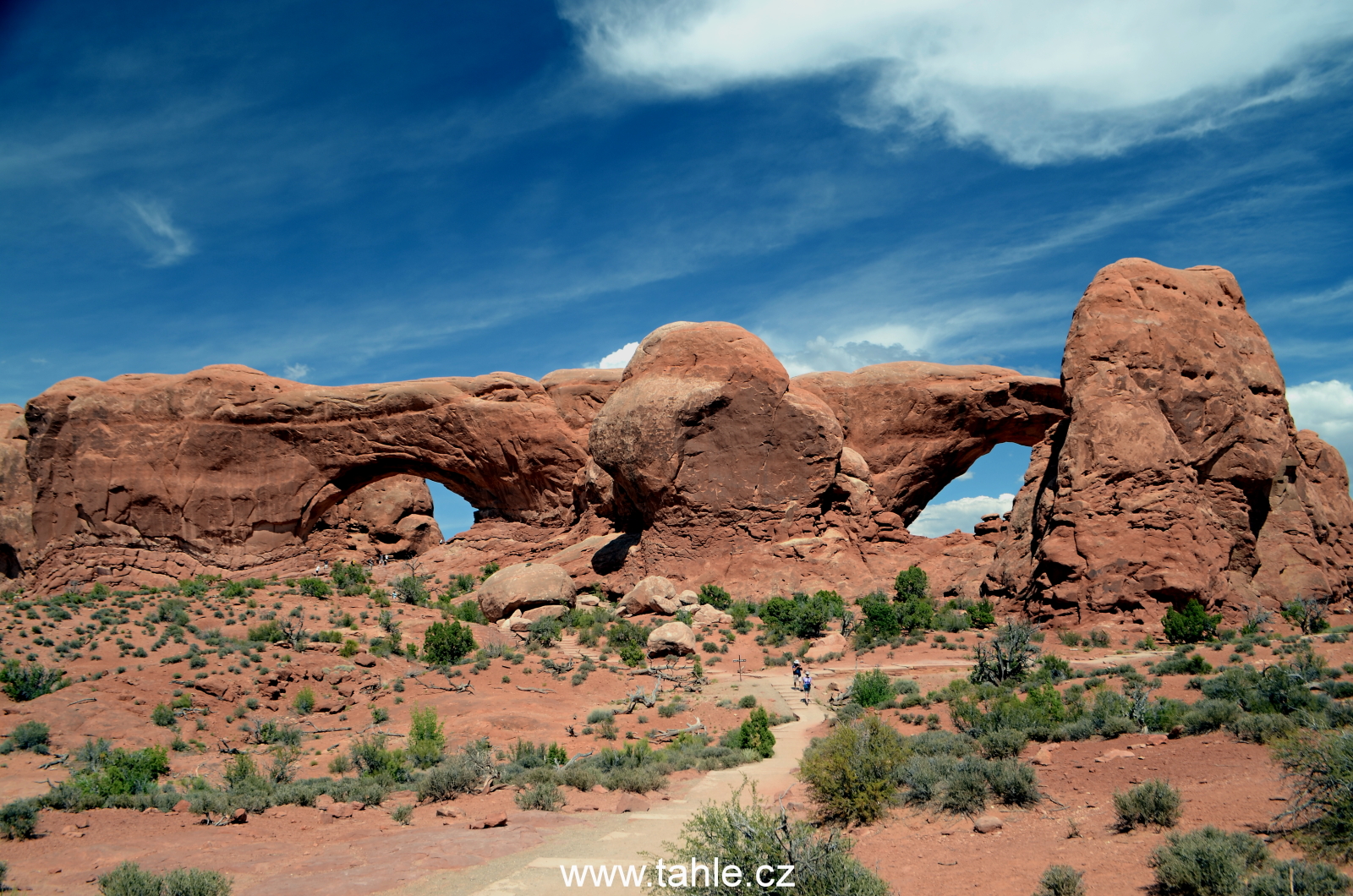 NP Arches