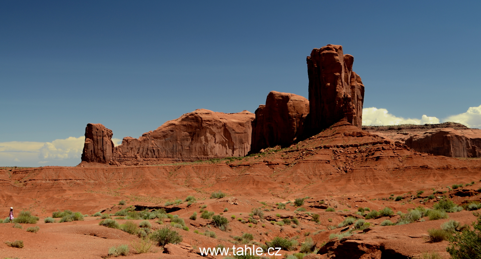 NP Monument Valley