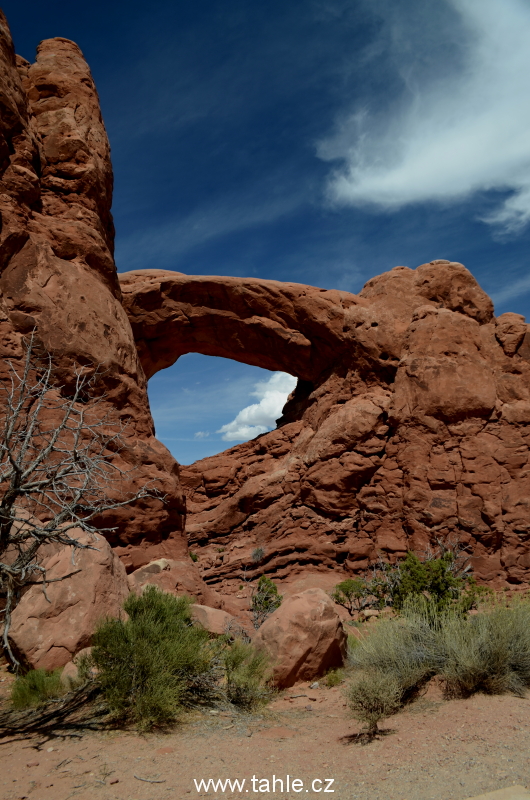 NP Arches