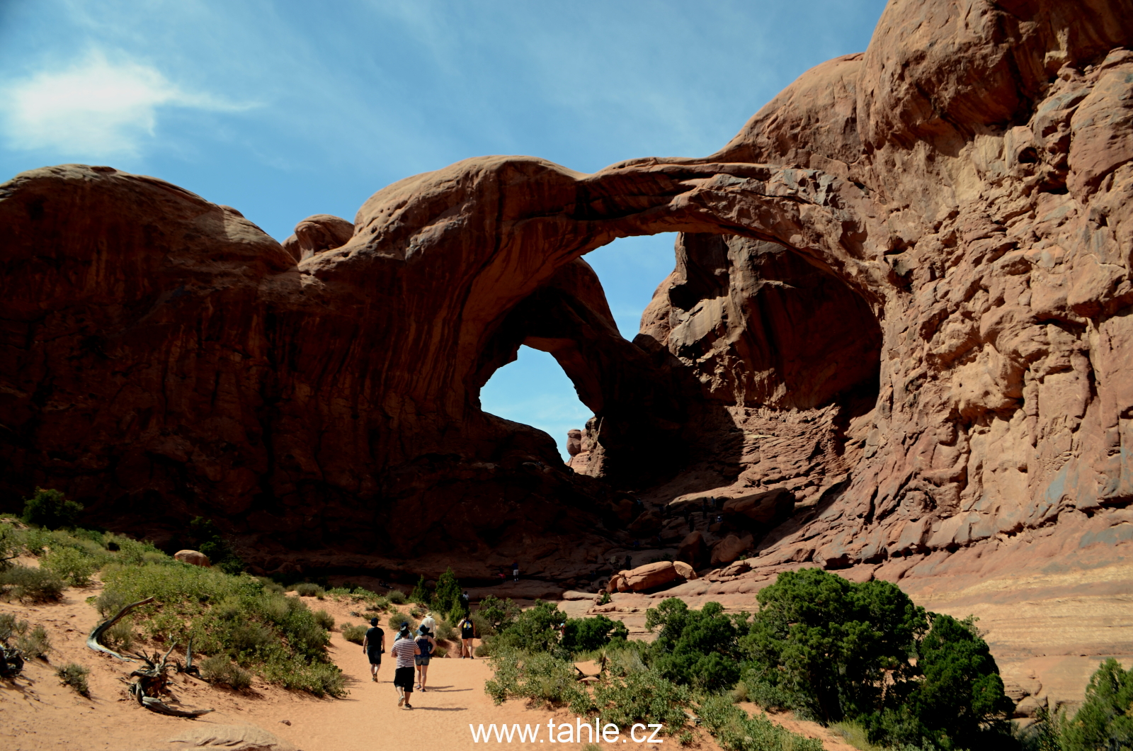 NP Arches