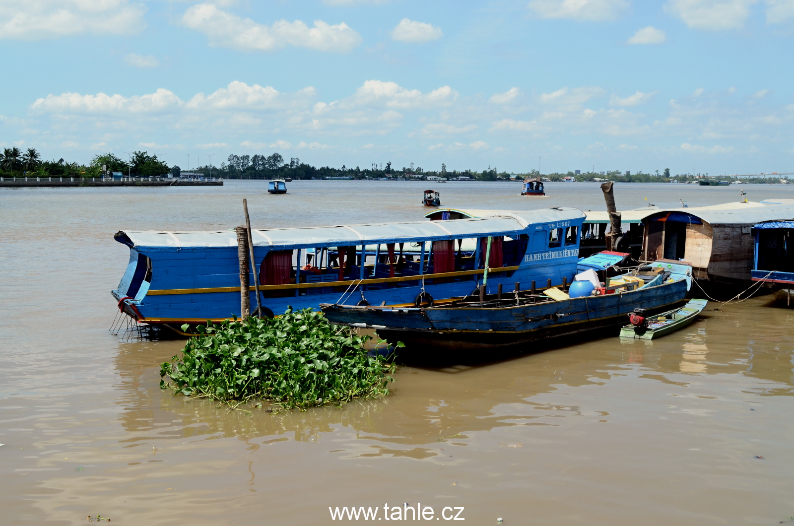 Delta Mekongu