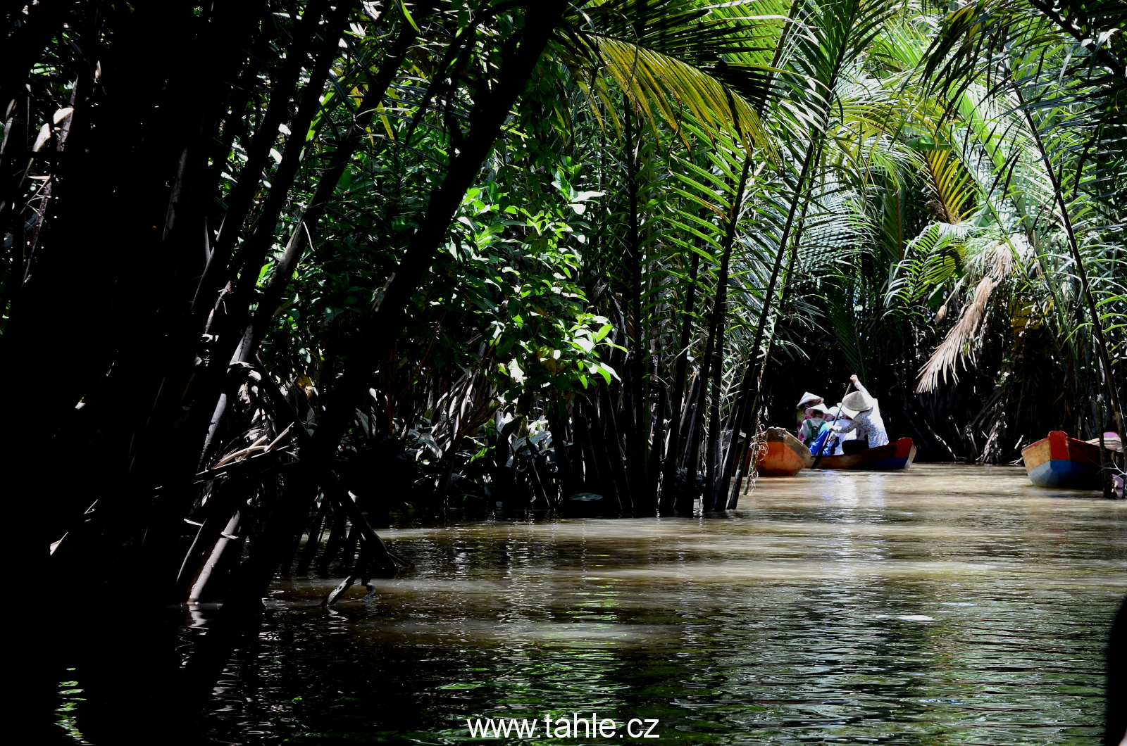 Delta Mekongu