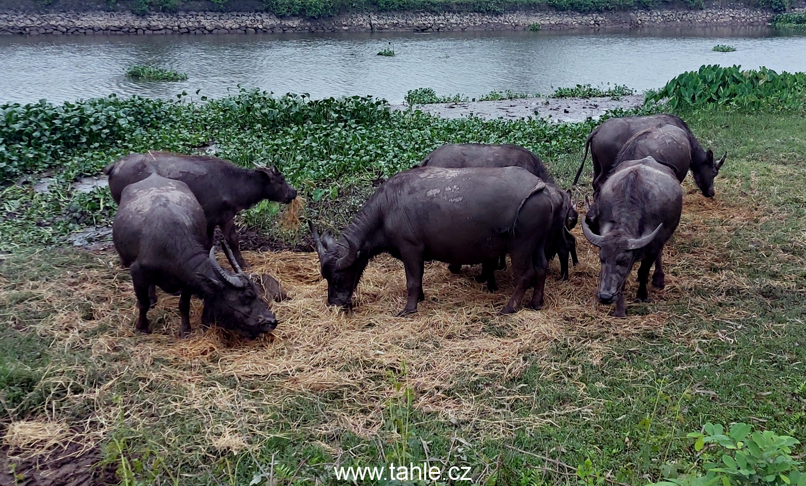  Ninh Binh